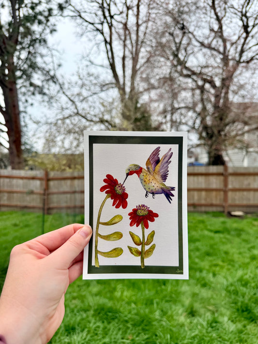 Hummingbird