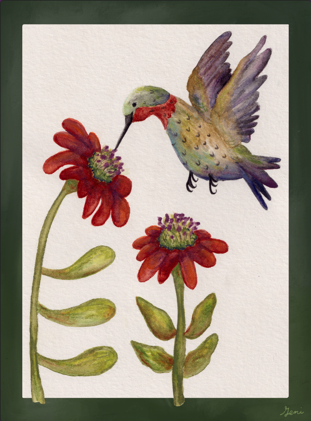 Hummingbird