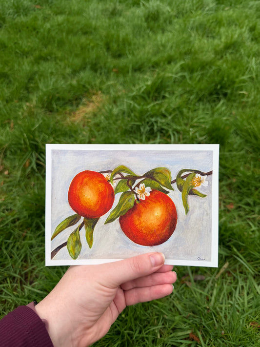 Orange Blossoms