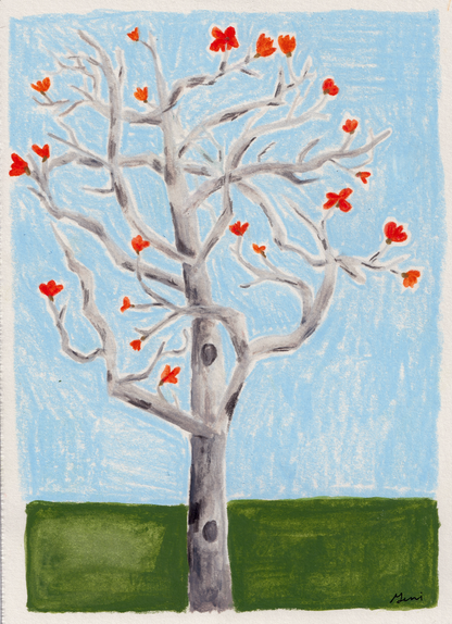 Kapok Tree