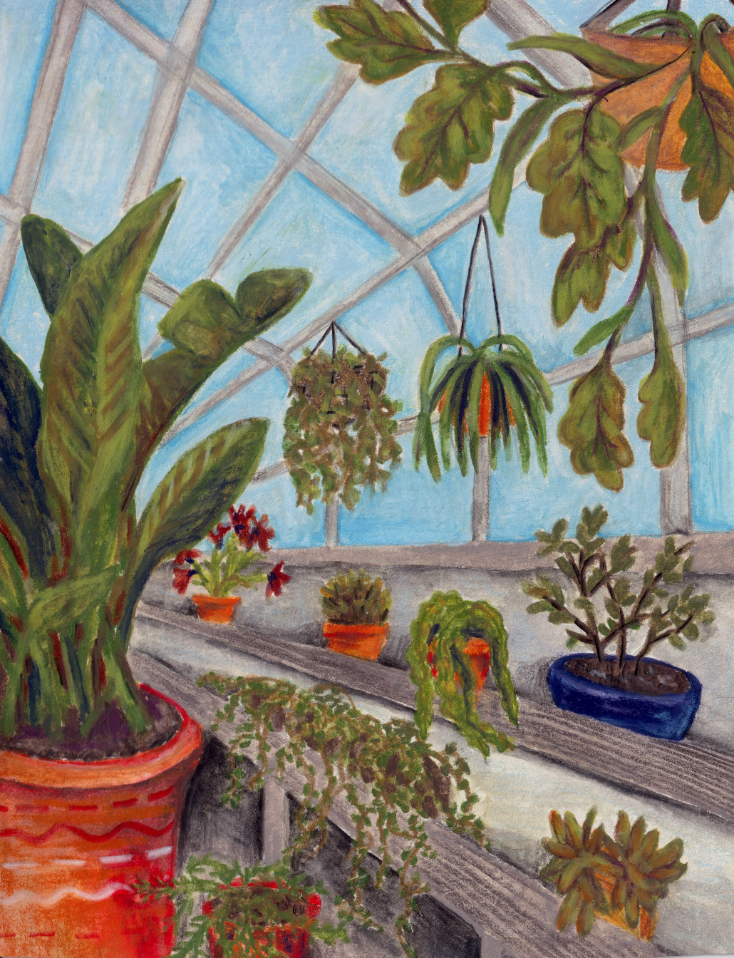 Greenhouse