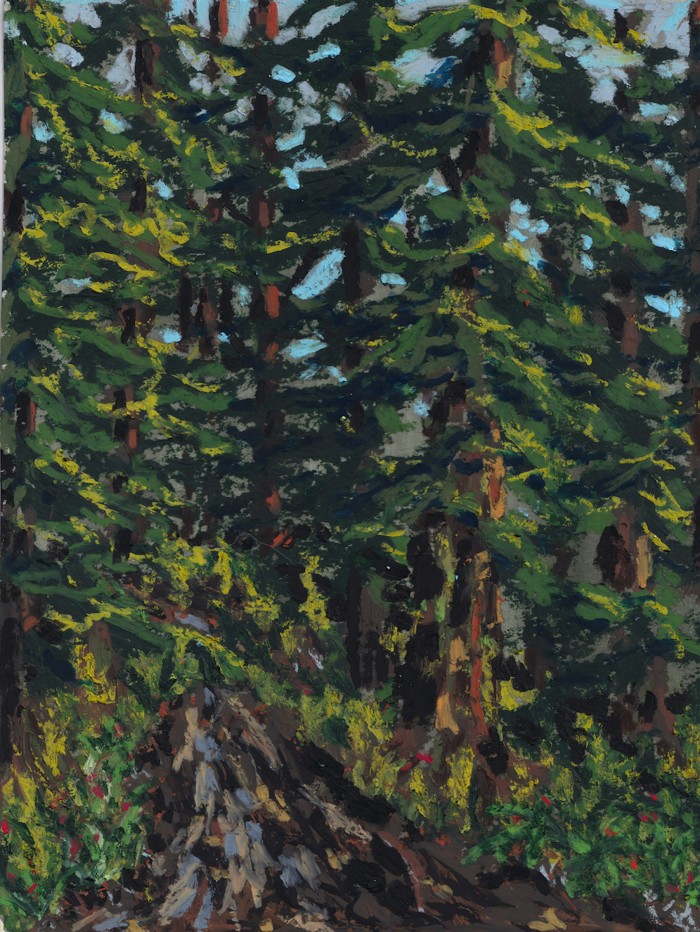 Wooded Walk