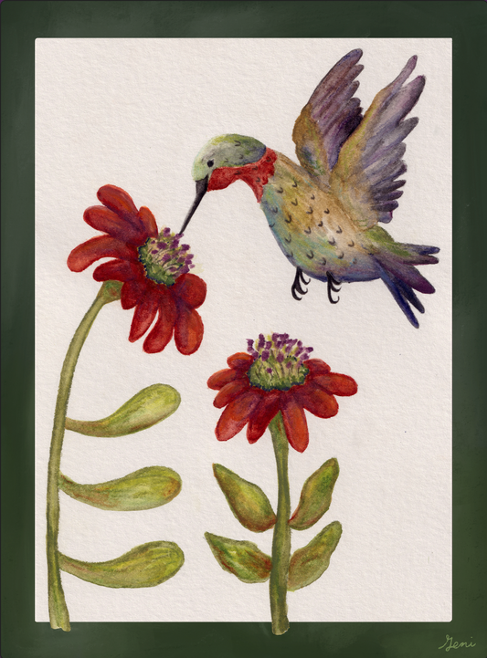 Hummingbird