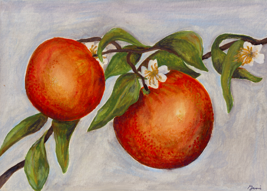 Orange Blossoms